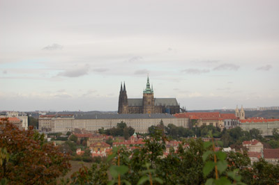 A picture of the Prague Castle and St. Vitus Cathedral