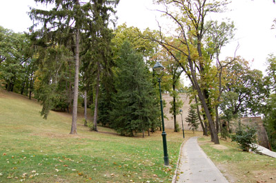 A picture of the park