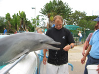 Bobby försöker mata en delfin