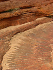 Gammal fossilerad strand i Kings Canyon