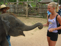 Fredrika matar baby-elefanten