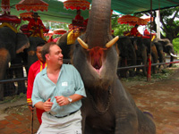 Anders & hans elefantvän