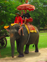 Vi på en elefanttur