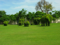 Elefanter tillklippta i trädgården vid Bang Pa-In Palace