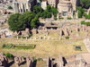 Picture of Roman Forum view from the Palatine