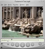 Picture from the Fontana di Trevi video